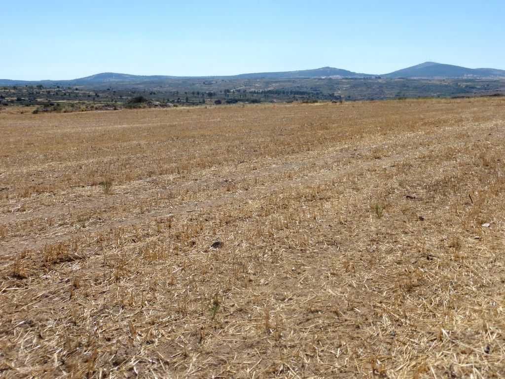 Agricultural land